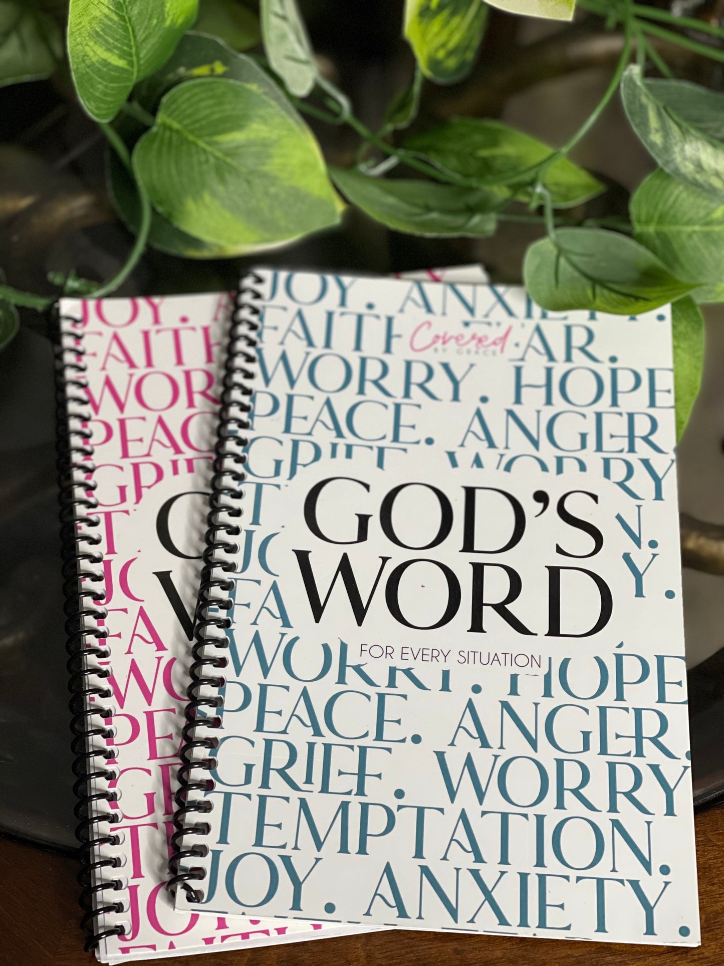 A Guide to God's Word